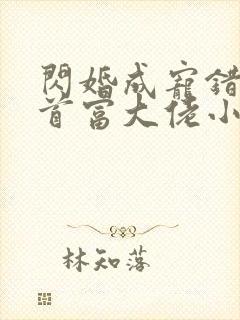 闪婚成宠错嫁了首富大佬小说