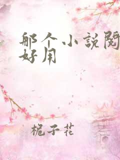 那个小说阅读器好用