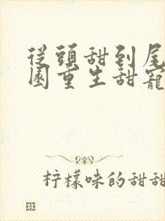 从头甜到尾的校园重生甜宠文