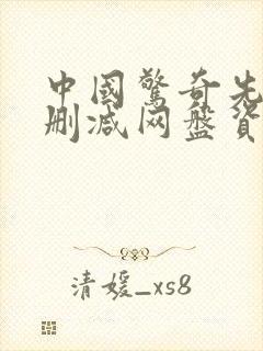 中国惊奇先生无删减网盘资源