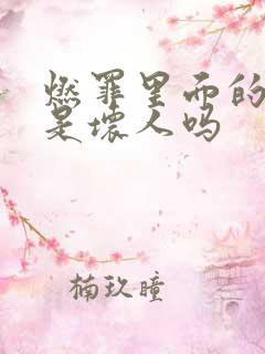 燃罪里面的吴大是坏人吗