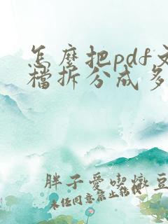 怎么把pdf文档拆分成多个文件