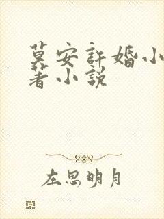 莫安许婚小说原著小说