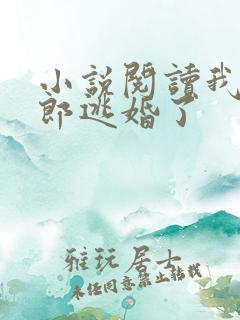 小说阅读我的新郎逃婚了