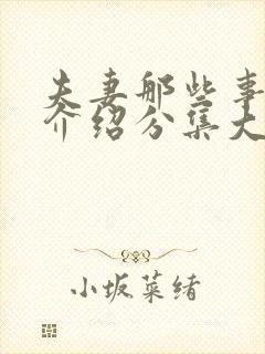 夫妻那些事剧情介绍分集大结局