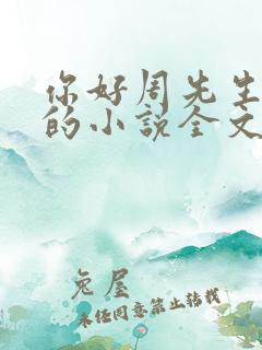 你好周先生夜蔓的小说全文免费阅读