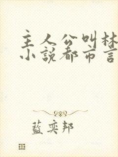 主人公叫林枫的小说都市言情小说