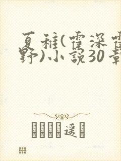 夏稚(霍深霍栖野)小说30章