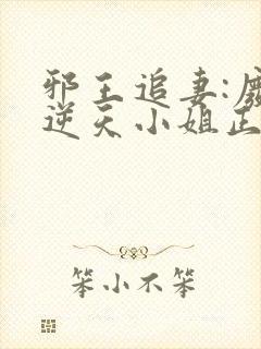 邪王追妻:废材逆天小姐正版小说