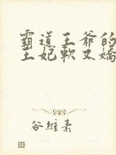 霸道王爷的替嫁王妃软又娇 小说