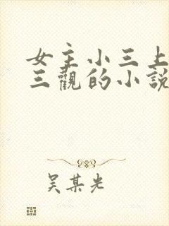 女主小三上位无三观的小说