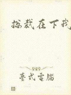 总裁在下我在上