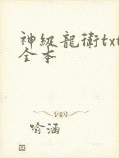 神级龙卫txt全本