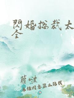 闪婚总裁太霸道全