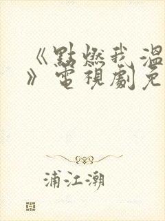 《点燃我温暖你》电视剧免费观看16集