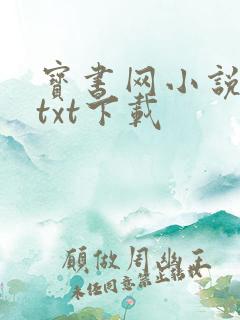 宝书网小说免费txt下载