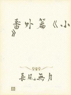 番外篇《小老板》