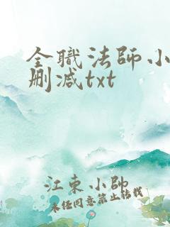 全职法师小说无删减txt