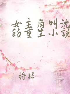 女主角叫沈知鸢的重生小说