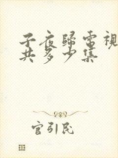 子夜归电视剧一共多少集