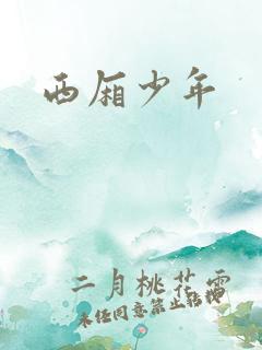 西厢少年
