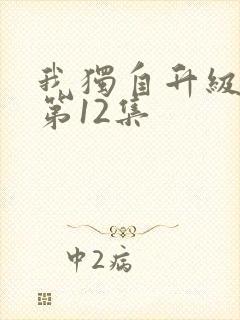 我独自升级动漫第12集