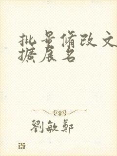 批量修改文件的扩展名