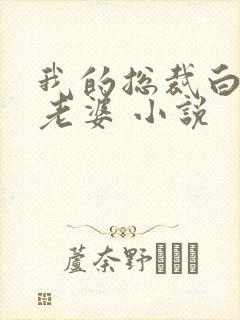 我的总裁白富美老婆 小说