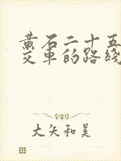 黄石二十五路公交车的路线图