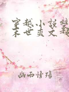 穿越小说双男主末世爽文超长版 异能