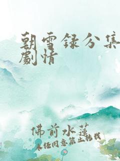 朝雪录分集介绍剧情