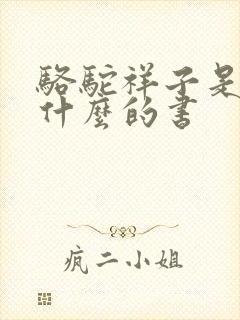 骆驼祥子是关于什么的书