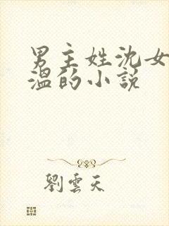 男主姓沈女主姓温的小说