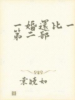 一婚还比一婚高第二部