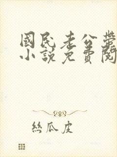 国民老公带回家小说免费阅读无弹窗