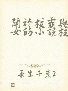 关于校霸与乖乖女的小说校园文