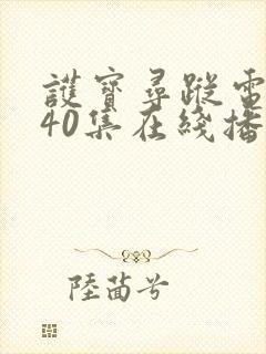 护宝寻踪电视剧40集在线播放