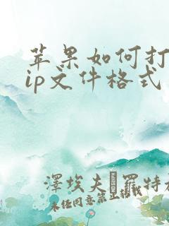 苹果如何打开zip文件格式