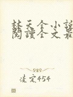 林天全小说免费阅读全文最新章节