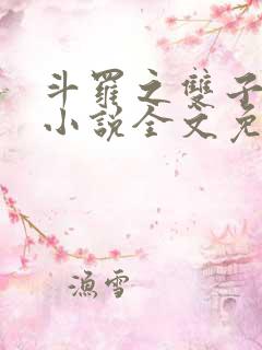 斗罗之双子斗罗小说全文免费阅读