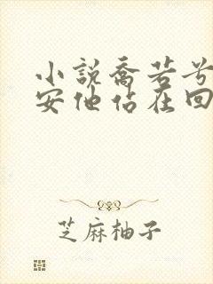 小说乔若兮沈辞安他站在回忆尽头在线阅读