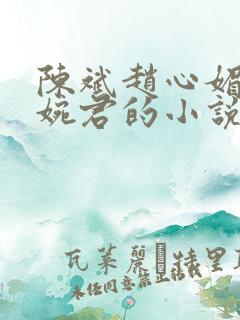 陈斌赵心媚和高婉君的小说免费阅读