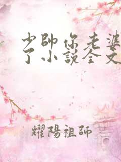 少帅你老婆又跑了小说全文免费阅读