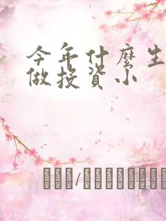 今年什么生意好做投资小