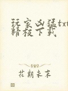 玩家凶猛txt精校下载