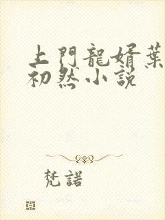 上门龙婿叶辰萧初然小说