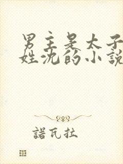 男主是太子女主姓沈的小说