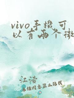 vivo手机可以有两个微信吗