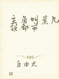 主角叫叶凡的小说都市