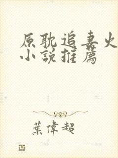 原耽追妻火葬场小说推荐